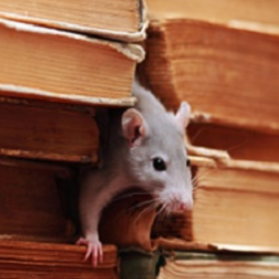 Bug Free Pest Control, LLC