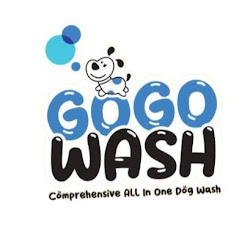 GoGo Wash