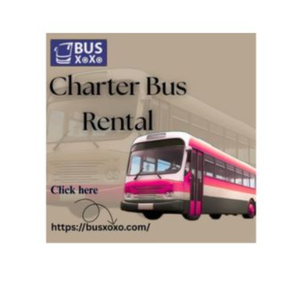 Busxoxoservice