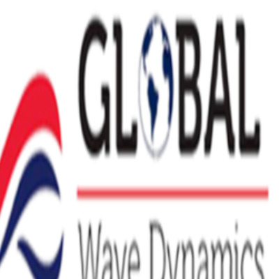 Global Wave Dynamics