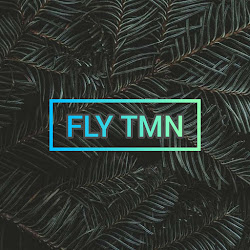 fly tmn