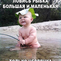 Алексей Гасенин