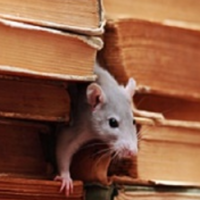 Nell's Pest Control