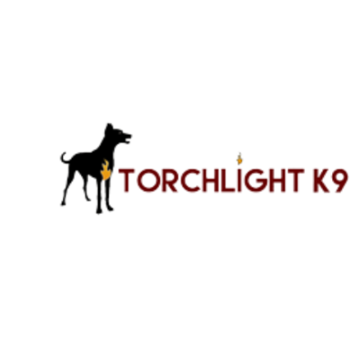 torchlightk