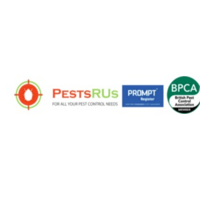 Pestsrus