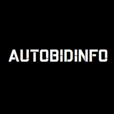 Auto Bidinfo