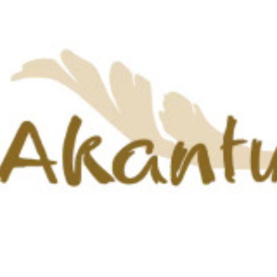 Akantus Weihnachtskrippen