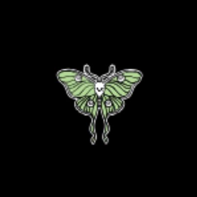 Pretty Dead Taxidermy Inc.