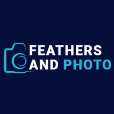 Feathers And Photos