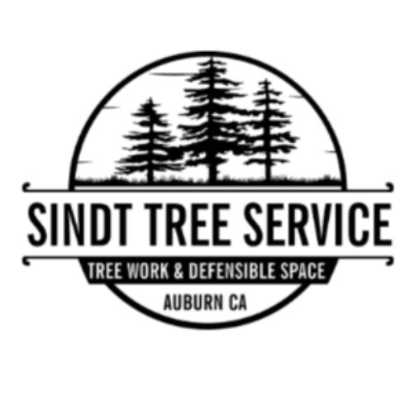 Sindt Tree Service