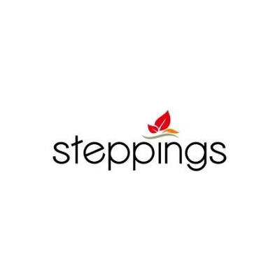 Steppings Shoes