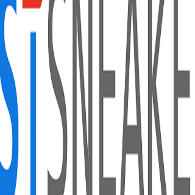 bstsneakercom