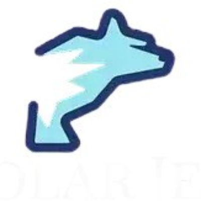 Polar Jet LLC