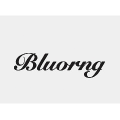 Bluorng Retail Private Limited