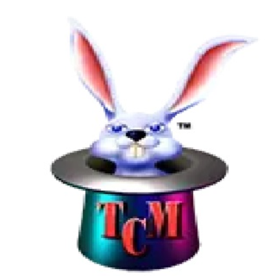The Computer Magician llc