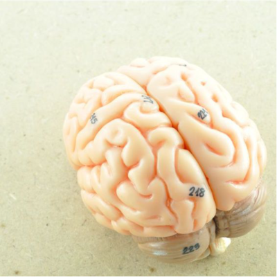 Westcoast Neurology
