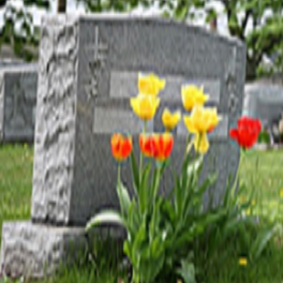 Donehoo-Lewis Funeral Home