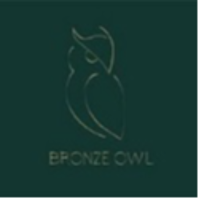 The Bronze Owl