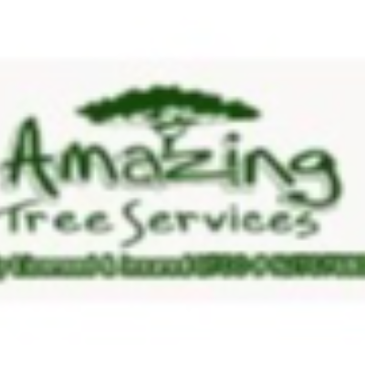 Amazing Tree Services