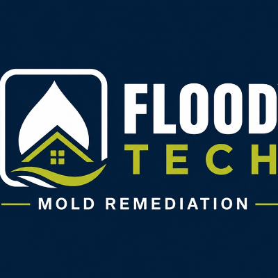 Mold Remediation and Mold Removal Service
