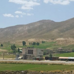 Armin Abadi